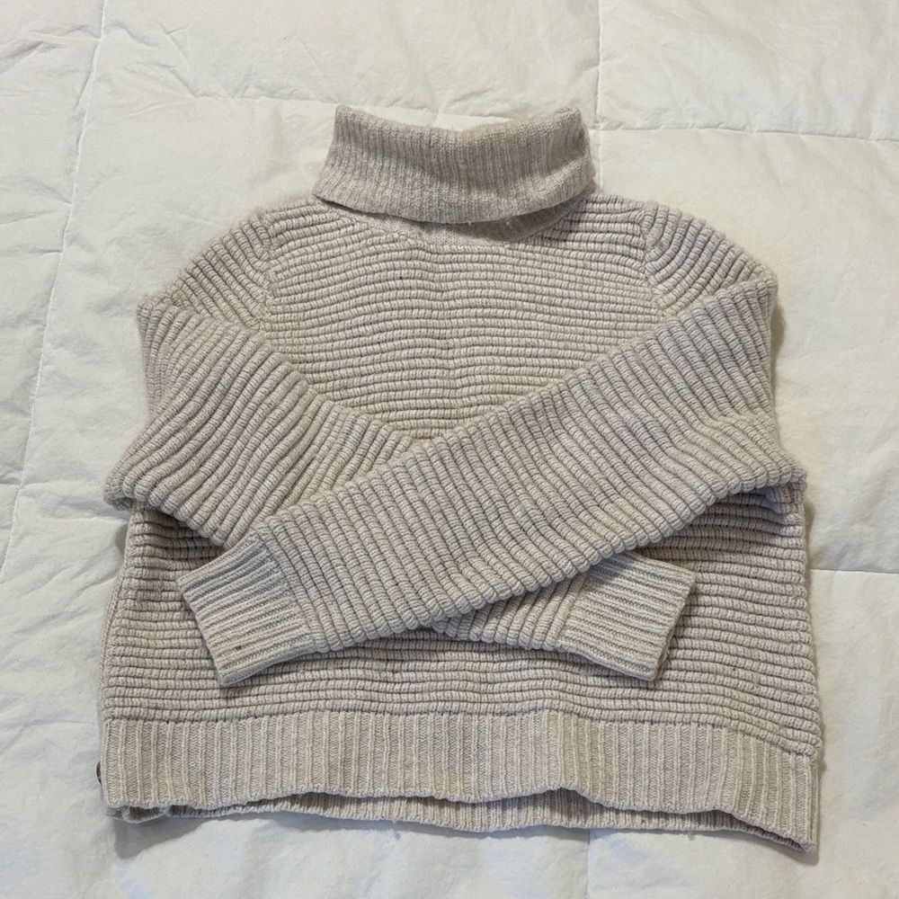 Cozy Beige Madewell Turtleneck Sweater
